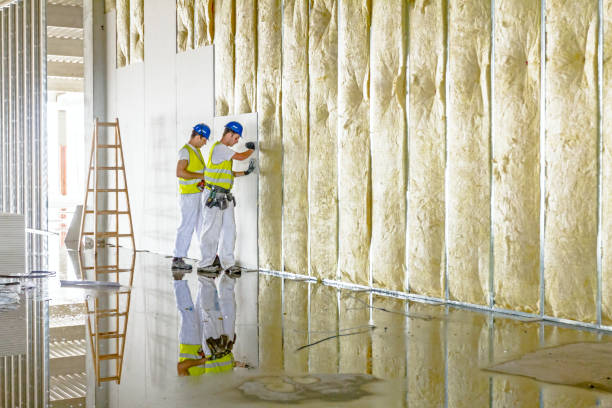 Professional Insulation Contractor in Contra Costa Centre, CA